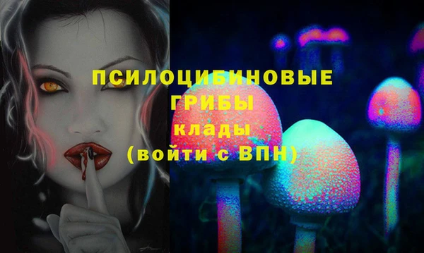 ECSTASY Вязьма