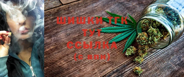 ECSTASY Вяземский