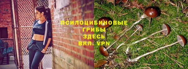 ECSTASY Вяземский