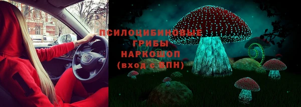 ECSTASY Вяземский